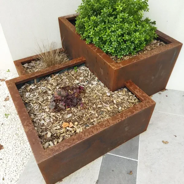 plantation paysagiste Chauché Sobelya (5)